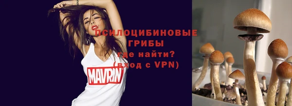 твердый Алзамай