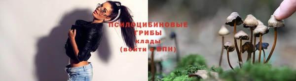 твердый Алзамай