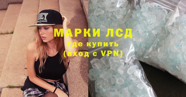 ГАЛЛЮЦИНОГЕННЫЕ ГРИБЫ Аркадак