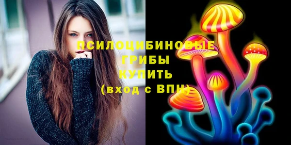 твердый Алзамай